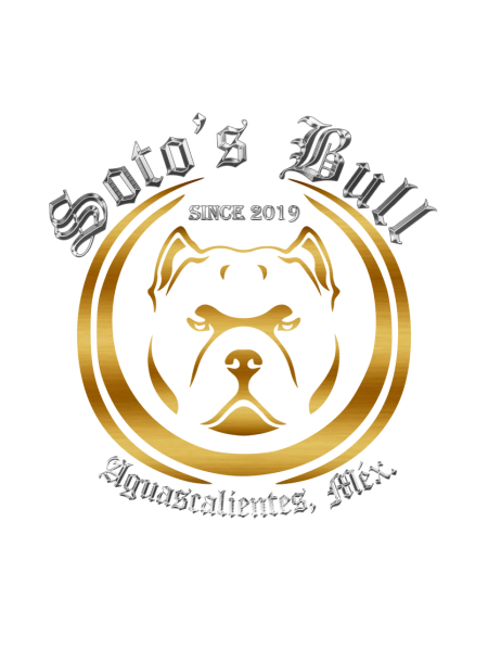 logo_ORIGINAL_COLORES